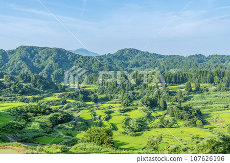 Tokamachi City, Niigata Prefecture, beautiful green rice terraces at Hoshitoge in summer 107626196