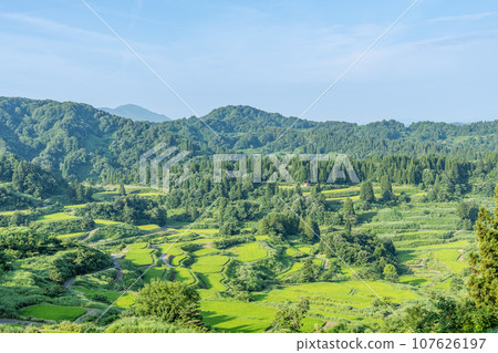Tokamachi City, Niigata Prefecture, beautiful green rice terraces at Hoshitoge in summer Tokamachi City, Niigata Prefecture, beautiful green rice terraces at Hoshitoge in summer 107626197