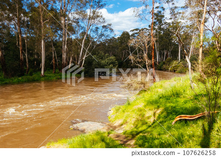 Yarra River Flooding in Warrandyte Australia Yarra River Flooding in Warrandyte Australia 107626258