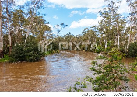 Yarra River Flooding in Warrandyte Australia Yarra River Flooding in Warrandyte Australia 107626261
