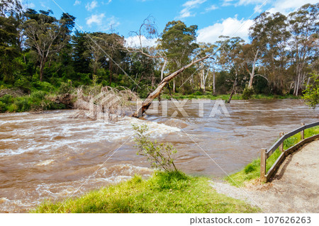 Yarra River Flooding in Warrandyte Australia Yarra River Flooding in Warrandyte Australia 107626263