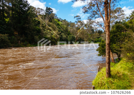 Yarra River Flooding in Warrandyte Australia 107626266