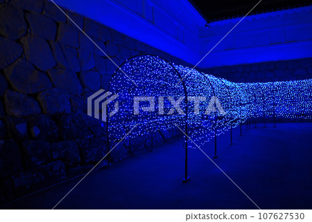 Kanto region, Odawara Castle, cherry blossoms at night, fun illuminated tunnel of Tokiwagi Gate, Odawara City, Kanagawa Prefecture (5) 107627530