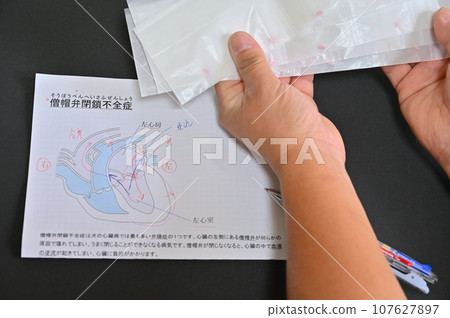 Veterinarian explaining medicine for canine mitral regurgitation, heart disease, veterinary hospital 107627897