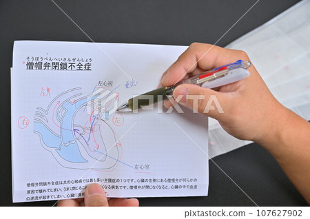 Veterinarian explaining medicine for canine mitral regurgitation, heart disease, veterinary hospital Veterinarian explaining medicine for canine mitral regurgitation, heart disease, veterinary hospital 107627902