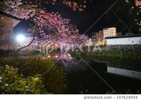 Kanto region, Odawara Castle, cherry blossoms at night, view of the Umade gate and moat from the castle climbing route in front of Ninomaru Square, Odawara City, Kanagawa Prefecture (1) Kanto region, Odawara Castle, cherry blossoms at night, view of the Umade gate and moat from the castle climbing route in front of Ninomaru Square, Odawara City, Kanagawa Prefecture (1) 107628058
