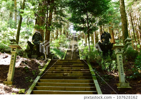 南足柄市：大雄山西成寺境內的奧之院參道 107628162