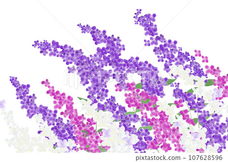 醉魚草花卡 2 107628596