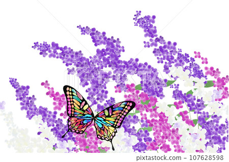 Buddleia flower and butterfly card 2 107628598