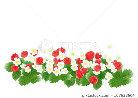 Hebiichigo flower and fruit card 2 107628604