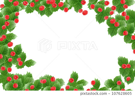 蛇草莓果卡1 107628605