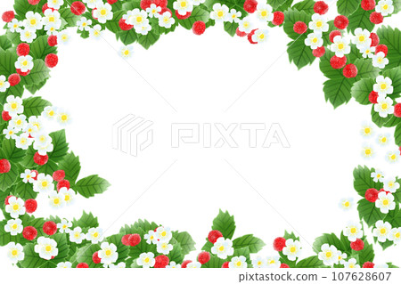 Hebiichigo flower and fruit card 4 107628607