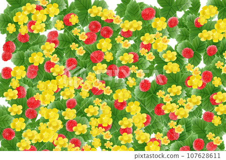 Hebiichigo flower and fruit card 8 107628611