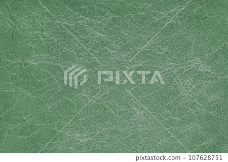 Genuine green leather, eco friendly coarse textured leatherette background 107628751
