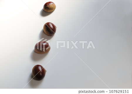 栗子在行 107629151