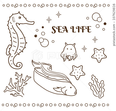 海洋動物簡單套裝 海洋動物簡單套裝 107629816