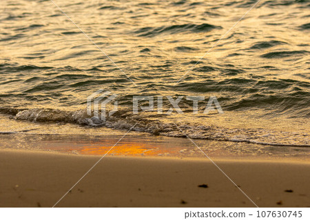 Sandy beach illuminated by the setting sun 107630745
