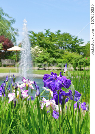 請參閱附英國花園(新潟縣) 請參閱附英國花園(新潟縣) 107630829