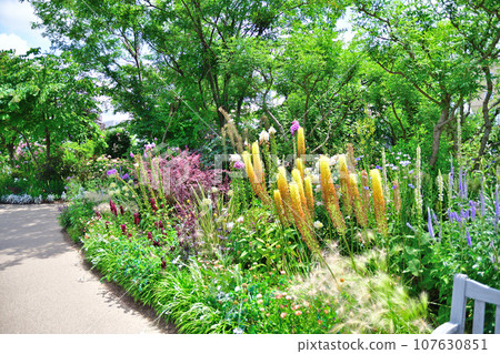 請參閱附英國花園(新潟縣) 請參閱附英國花園(新潟縣) 107630851