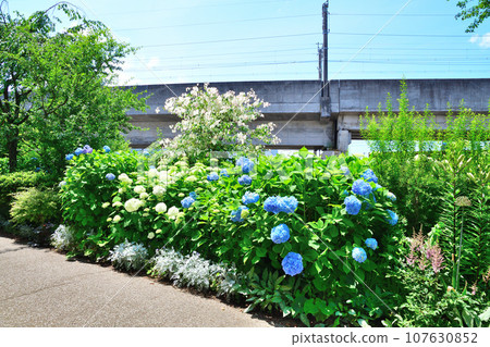 請參閱附英國花園(新潟縣) 請參閱附英國花園(新潟縣) 107630852