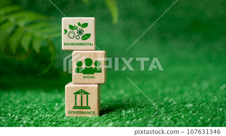 ESG concept for environment, society and governance in sustainable. business responsible environmental. 107631346