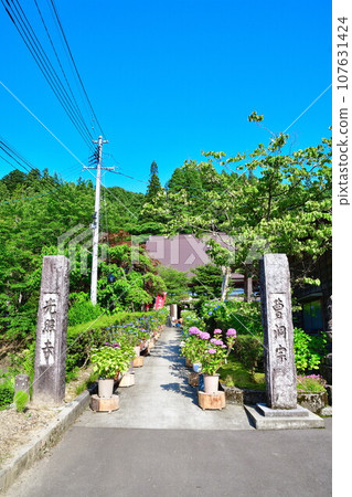 Koshoji Temple Hydrangea (Niigata Prefecture) 107631424