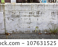 A shabby old wall, a wall in the countryside 107631525