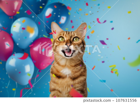 Funny portrait of a happy smiling bengal cat on a festive background with balloons and confetti. 107631556