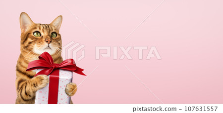 Happy cat holds a gift in her paws. 107631557