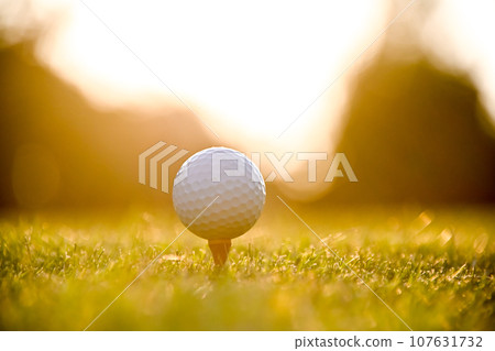 Golf image 107631732