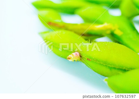Pink caterpillar moth that came out of the edamame during cooking but was boiled together on a white background Pink caterpillar moth that came out of the edamame during cooking but was boiled together on a white background 107632597