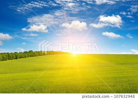 Dawn over green wheat field and blue sky. Dawn over green wheat field and blue sky. 107632948