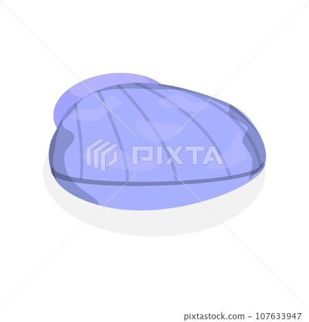 3D Isometric Flat Vector Set of Seashells. Item 6 3D Isometric Flat Vector Set of Seashells. Item 6 107633947