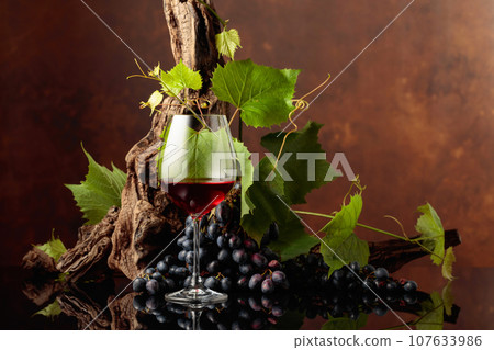 Glass of red wine with blue grapes and vine branches. Glass of red wine with blue grapes and vine branches. 107633986