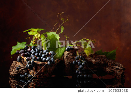 Blue grapes and vine branches on a black reflective background. Blue grapes and vine branches on a black reflective background. 107633988