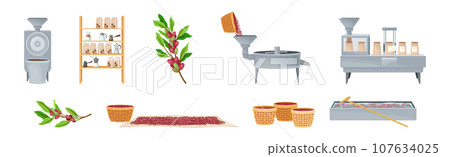Coffee Industrial Production Process with Equipment and Ripe Crop Vector Set 107634025
