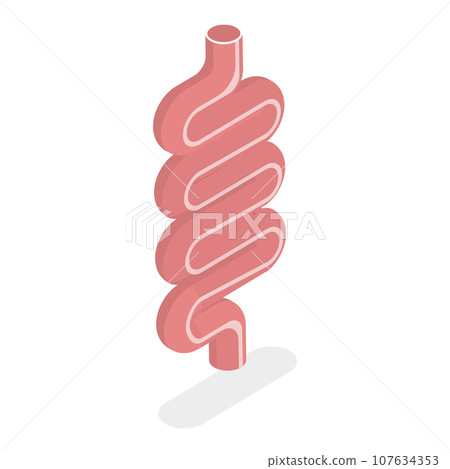 3D Isometric Flat Vector Illustration of Digestive System Anatomy. Item 4 107634353