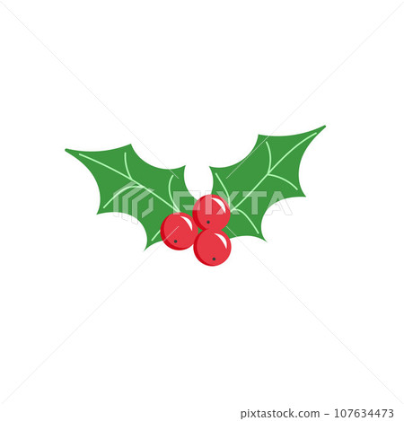 Holly berry icon. Green leaves and red berries mistletoe. Symbol of Christmas. Isolated on white background 107634473