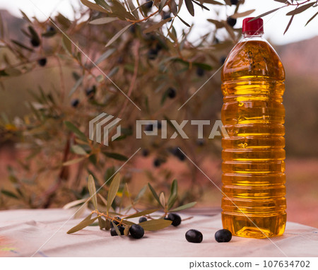 Still life of olives and oil on a table against background of olive trees 107634702