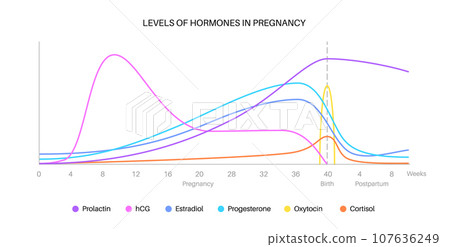 Hormones in pregnancy 107636249