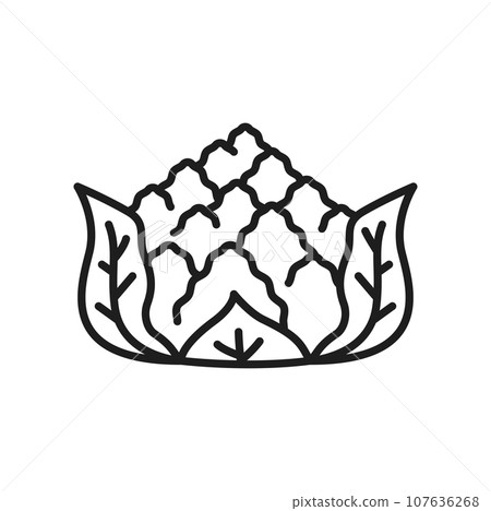 Romanesco cabbage head isolated vegetable raw food line icon. Vector cauliflower cabbage, healthy organic vegetable, veggie headed raw romanesque 107636268
