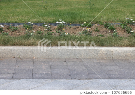 A street border painted white and blue against a road and green foliage. Road safety, minimalism. 107636696