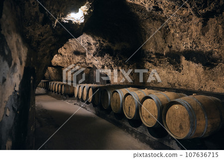 Barrels at wine cellar Barrels at wine cellar 107636715