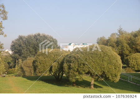 A residential area with high-rise buildings in the evening light, Butovo, Moscow, September 2023. 107636924