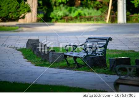 Bench (Nakajima Park)_2191 Bench (Nakajima Park)_2191 107637003