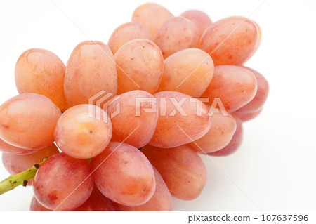 Queen Rouge (grape) 107637596