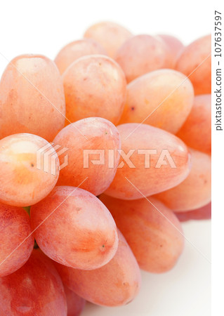 紅皇后（葡萄） 107637597