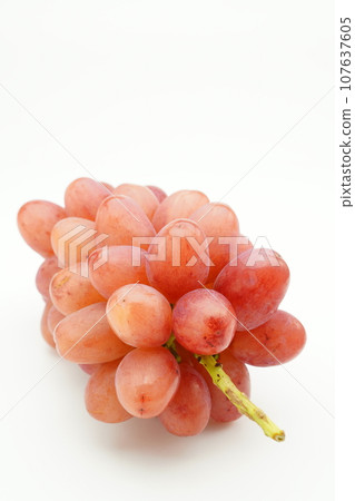 Queen Rouge (grape) 107637605