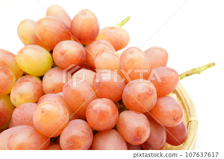 紅皇后（葡萄） 107637617