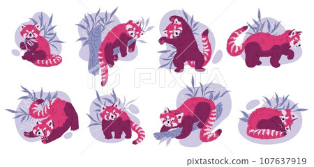 Cute adorable red panda in different poses cartoon set, Vector illustrations of chinese animal character 107637919